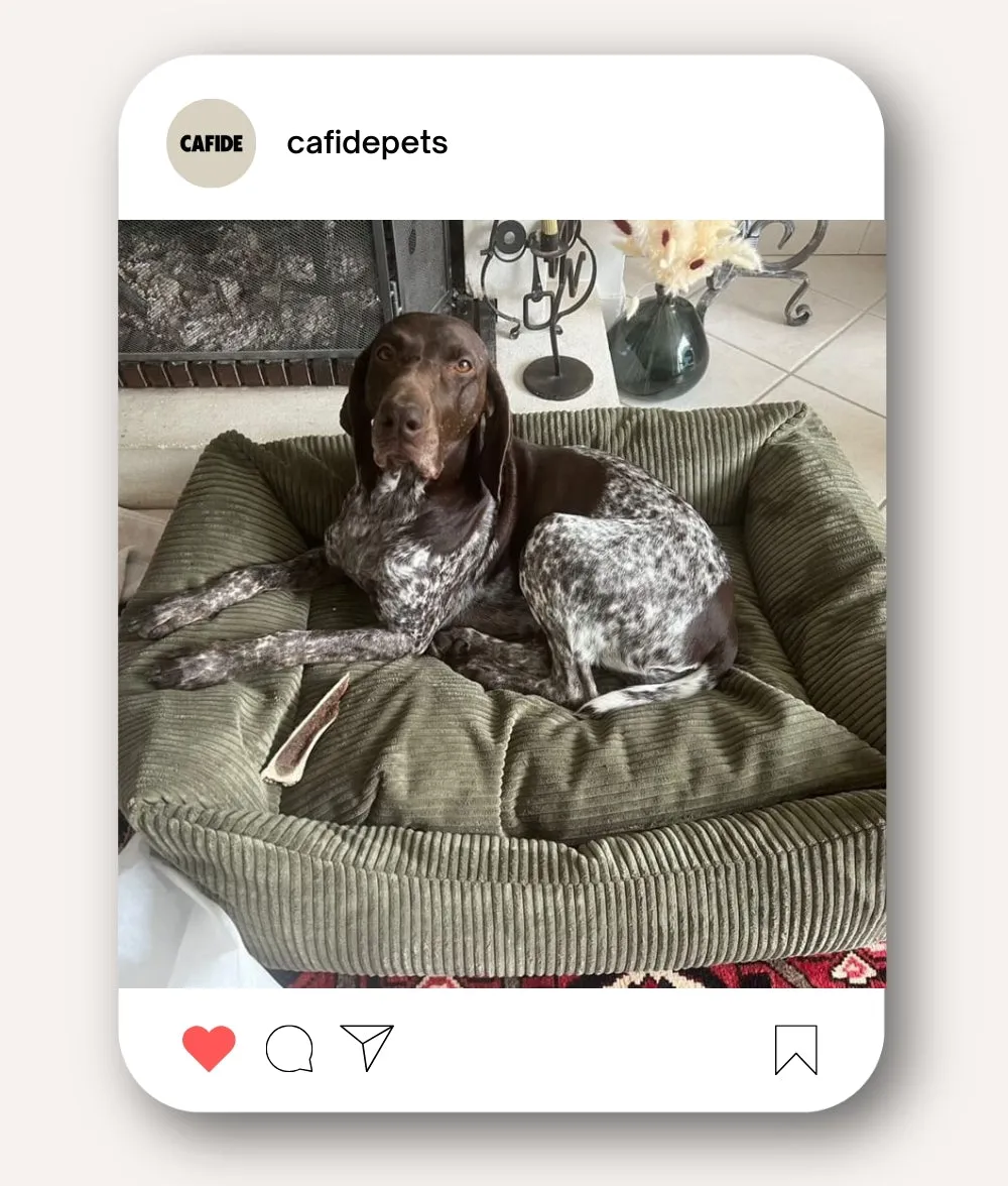 Cama Perro Pana Verde, Snozy