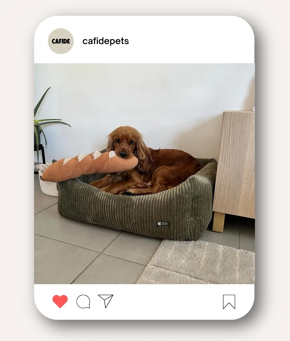 Cama Perro Pana Verde, Snozy