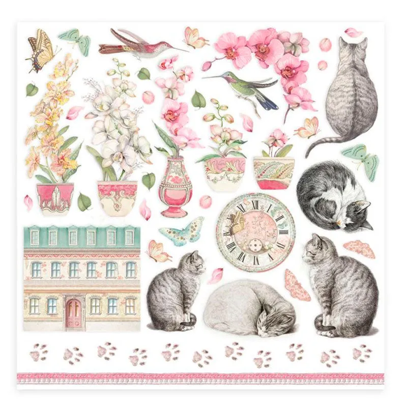 Set 10 Papeles Scrap Orchids And Cats 20x20 Stamperia
